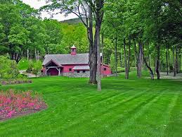Seeding Waynesboro Landscape