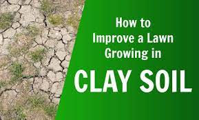 How To Improve A Clay Soil Lawn