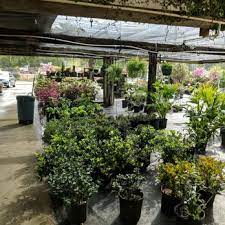 Southland Nursery Landscaping 3815