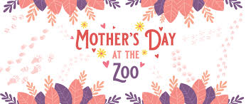 Mother S Day At The Zoo City Of