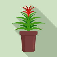 Flower Succulent Pot Vector Icon