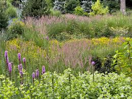 Tour 3 Marvelous Meadow Gardens And