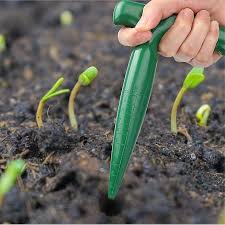 Succulent Transplanting Tools Seed