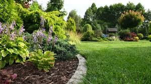 Garden Stock Footage Royalty