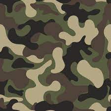Camouflage Background Abstract