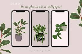 House Plants Iphone Wallpaper Phone