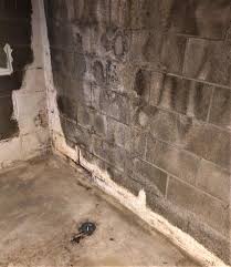 Homespec Waterproofing And Foundation