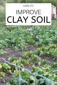 How To Improve Clay Soil Country