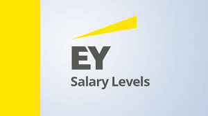 Ey Guide To Salary Levels Pay Scale