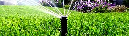 Reclaimed Water And Landscaping