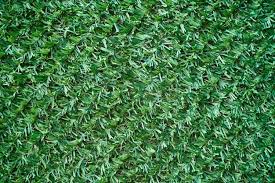 Grass Wall Images Free On