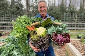 Plant Now For The Fall Vegetable Garden