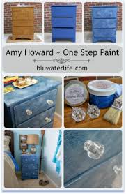 Amy Howard One Step Paint
