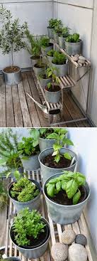 Diy Herb Garden Indoor Mini Garden