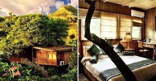 10 Tree Houses In India For An