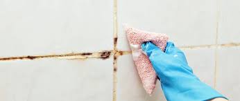 Removing Mould