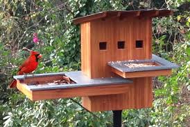 Bird House Resort Woodworking Plans And