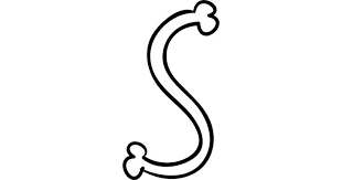 Letter S Of Bones Outlined Typography