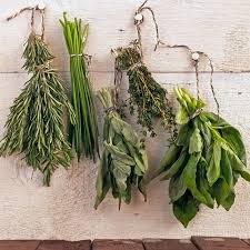 How To Harvest And Dry Herbs Arts