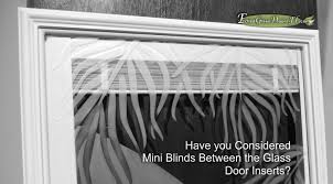 Mini Blinds Between The Glass Door