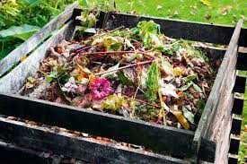 Wonderful Compost Heap
