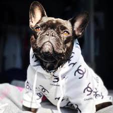 Coco Designer Dog Hoodie Dog Hoodies