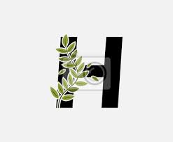 Initial H Letter Logo Icon Created
