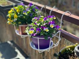 Pots For Balcony Plants Choosing
