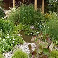 Build A Wildlife Pond