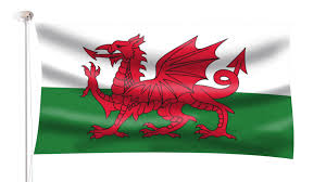 Wales Flag Hampshire Flag Company