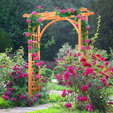 Best Garden Arches Add Charm To Your