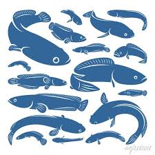 Set Of Fish Cork Logo Vector Creative