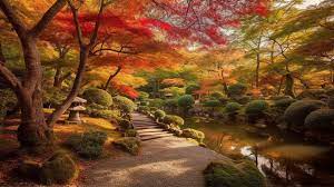 Zen Garden Autumn Japan Japan Nature