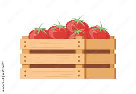 Heap Fresh Appetizing Organic Tomatoes