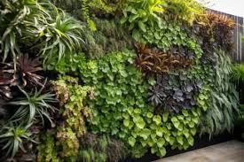 How To Create A Living Plant Wall