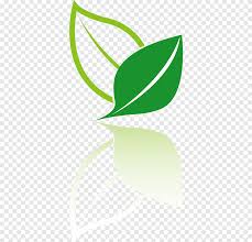Green Leaf Ilration Tea Logo Icon