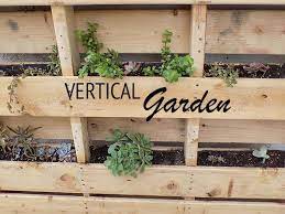 Make Your Own Pallet Vertical Garden