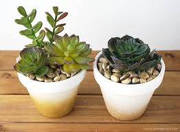 Diy Gold Ombre Planters Artsy Fartsy Mama