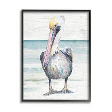 Pelican Bird Standing Beach Sand Grain