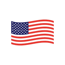 American Flag Icon Vector Graphics