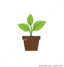Plant Pot Icon Vector Stock