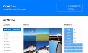 viewer simple image zooming plugin