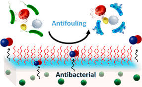 Multifunctional Antimicrobial Surfaces