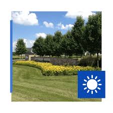 Everscapes Lawn And Landscaping