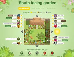 South East Or West Facing Garden