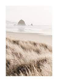 Morning Beach Poster Beige Beach