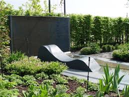Planting A Privacy Screen Landscaping