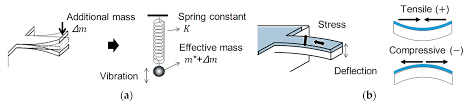 microsensors for mammalian cell stus