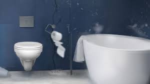 About Toilet Seats