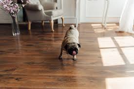 Protect Hardwood Floors From Dog Scratches